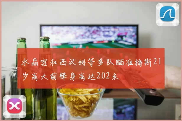 水晶宫和西汉姆等多队瞄准梅斯21岁高大前锋身高达202米