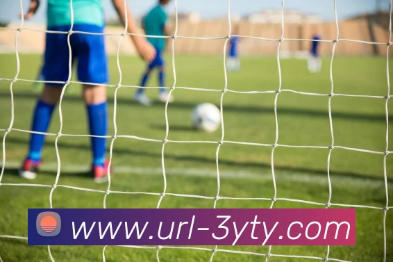 三亿体育APP 高清赛事图